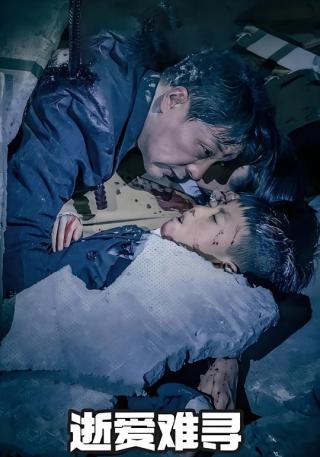 短剧逝爱难寻海报