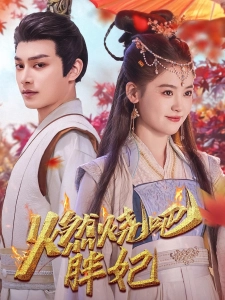 短剧燃烧吧胖妃海报