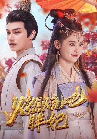 短剧燃烧吧胖妃海报