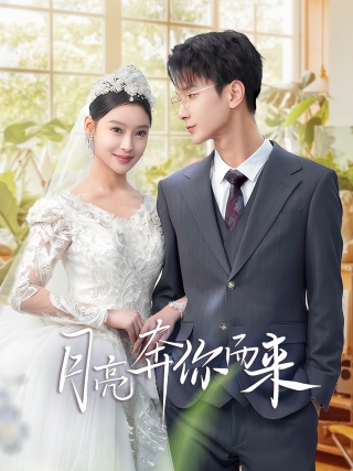 短剧月亮奔你而来海报