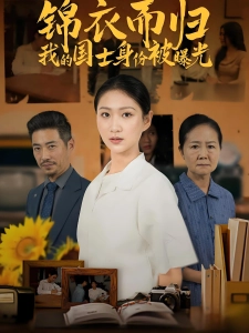 短剧锦衣而归我的国士身份被曝光海报