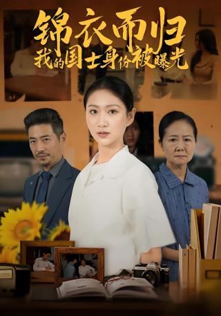 短剧锦衣而归我的国士身份被曝光海报