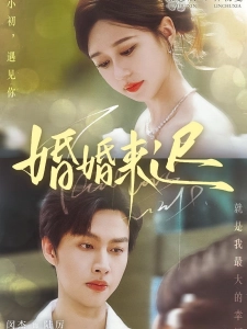 短剧婚婚来迟海报