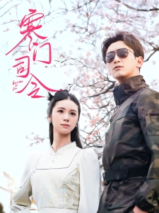 短剧寒门司令海报