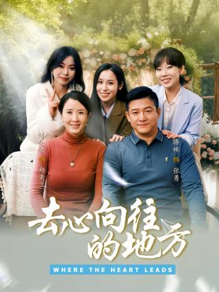 短剧去心向往的地方海报