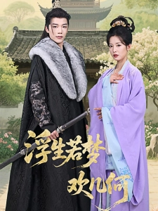 短剧浮生若梦欢几何海报