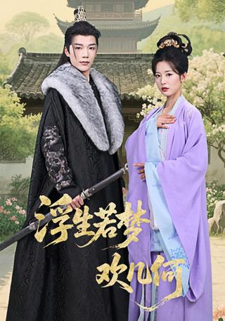 短剧浮生若梦欢几何海报