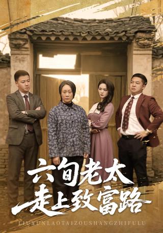 短剧六旬老太走上致富路海报