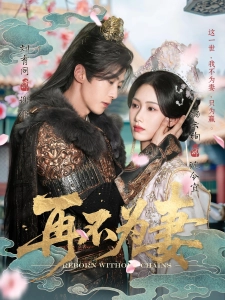 短剧再不为妻海报