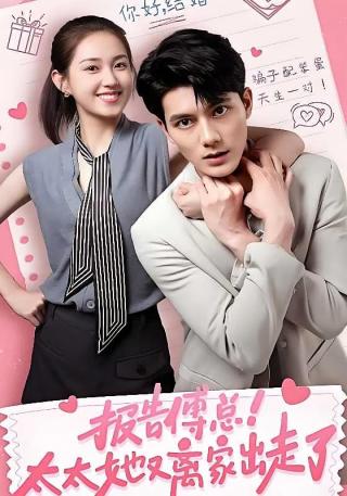 短剧报告傅总！太太她又离家出走了海报