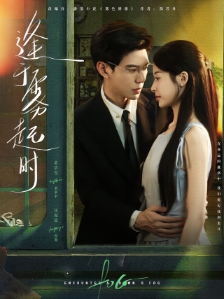 短剧逢于雾起时海报