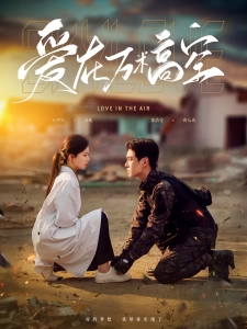 短剧爱在万米高空海报