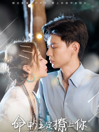 短剧命中注定撩上你海报