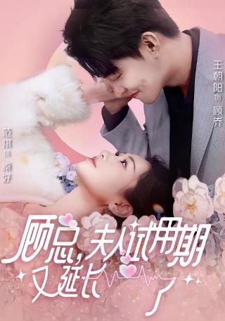 短剧顾总，夫人试用期又延长了海报