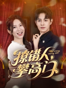 短剧撩错人，攀高门海报