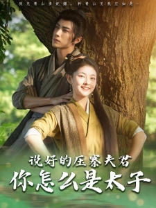 短剧说好的压寨夫君，你怎么是太子海报