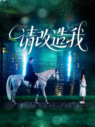 短剧请改造我海报