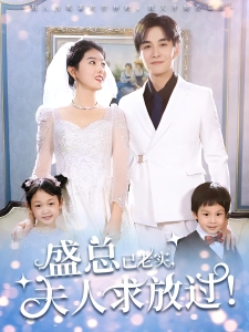 短剧盛总已老实，夫人求放过海报