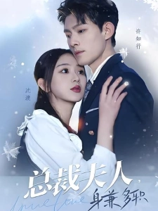 短剧总裁夫人，身兼多职海报