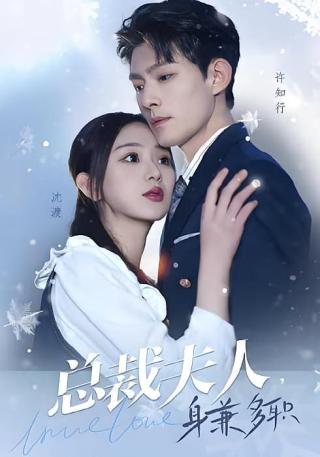 短剧总裁夫人，身兼多职海报