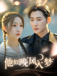 短剧他似晚风入梦海报
