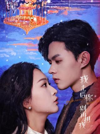 短剧我走后你别再想我海报