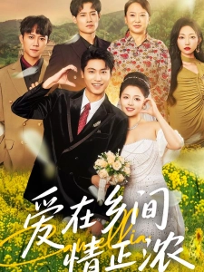 短剧爱在乡间情正浓海报