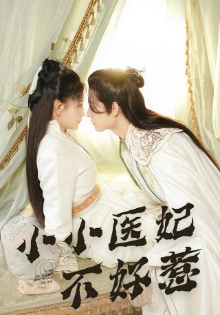 短剧小小医妃不好惹海报