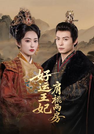 短剧好运王妃肩祧两房海报