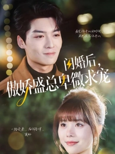 短剧闪婚后，傲娇盛总卑微求宠海报