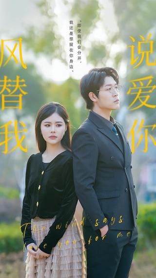 短剧风替我说爱你海报