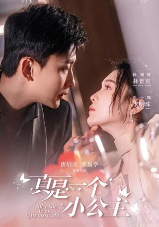 短剧真是一个小公主海报