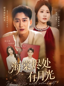 短剧海棠烬处有月光海报