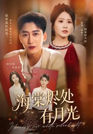 短剧海棠烬处有月光海报