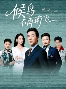 短剧候鸟不再南飞海报