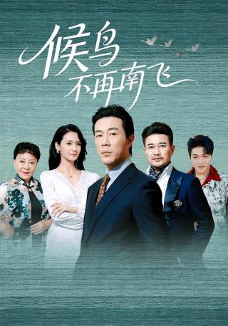 短剧候鸟不再南飞海报