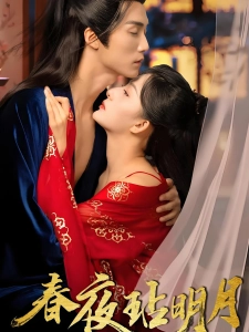 短剧春夜玷明月海报