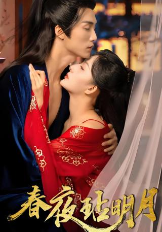 短剧春夜玷明月海报