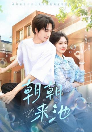 短剧朝朝来池海报