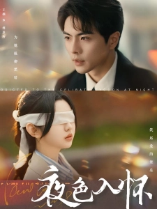 短剧夜色入怀海报