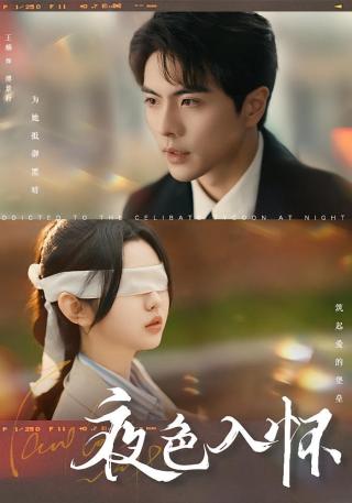 短剧夜色入怀海报