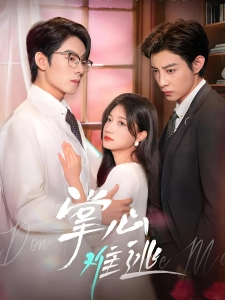 短剧掌心难逃海报