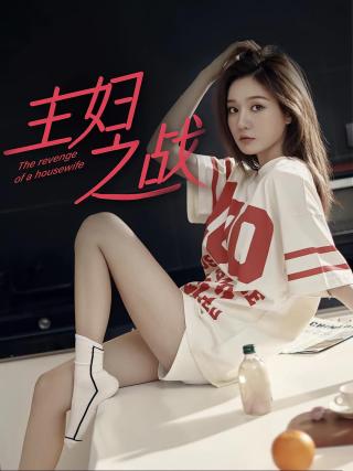 短剧主妇之战海报
