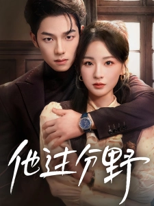 短剧他过分野海报