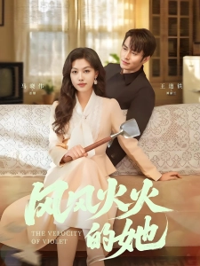 短剧风风火火的她海报