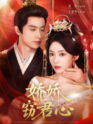 短剧娇娇窃君心海报