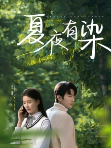 短剧夏夜有染海报