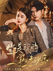 短剧你是我的掌心朱砂痣海报