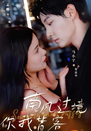 短剧南风过境你我皆客海报