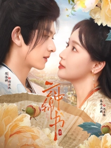 短剧云中锦书海报